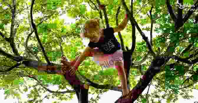 A Kid Climbing A Tree Wild And Free Nature: 25 Outdoor Adventures For Kids To Explore Discover And Awaken Their Curiosity
