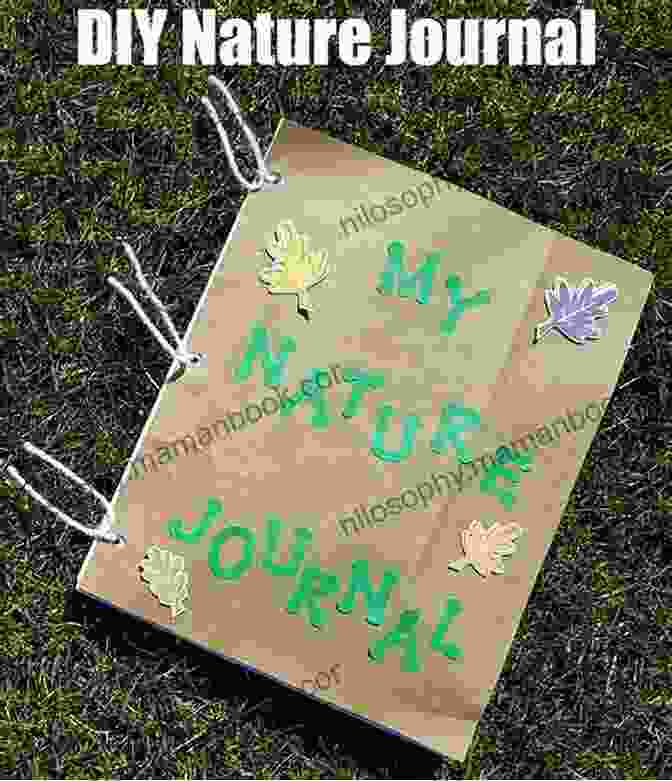 A Kid Writing In A Nature Journal Wild And Free Nature: 25 Outdoor Adventures For Kids To Explore Discover And Awaken Their Curiosity