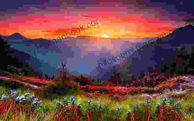 A Stunning Sunset Over A Mountain Range The Modern Flower Press: Capturing The Beauty Of Nature