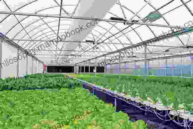 Greenhouse Interior With Controlled Climate The Greenhouse Gardener S Bible: 7 In 1 The Most Complete Guide To Start Growing Your Own Fresh Vegetables Fruits And Herbs All Year Round Raised Bed Gardening Hydroponics Companion Planting