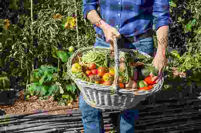 Harvesting Produce From An Edible Garden Kitchen Garden Revival: A Modern Guide To Creating A Stylish Small Scale Low Maintenance Edible Garden