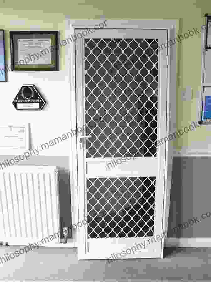 Image Of A Sinister Screen Door, Its Dark Mesh Concealing Shadowy Secrets. Scopolamine And Sinthe (Screen Door 1)