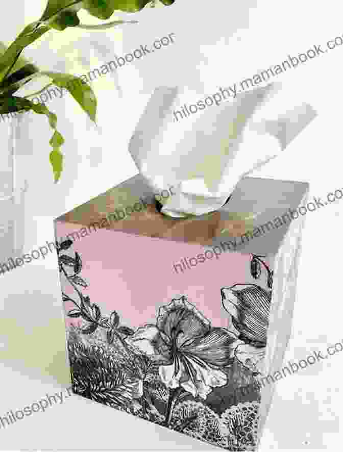 Pink Passion Regular Tissue Box Cover Pink Passion Regular Tissue Box Cover: Plastic Canvas Pattern