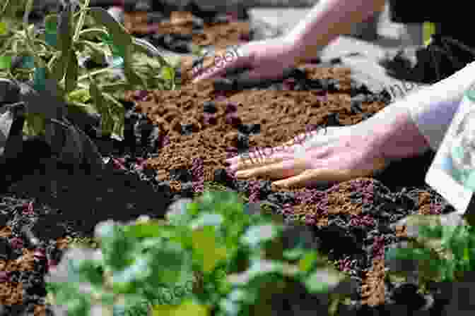 Preparing Soil For An Edible Garden Kitchen Garden Revival: A Modern Guide To Creating A Stylish Small Scale Low Maintenance Edible Garden