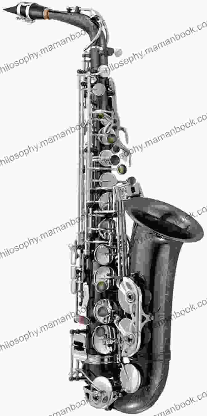 Revolving House For Alto Saxophone With Black Finish And Silver Keys Revolving House: For Alto Saxophone