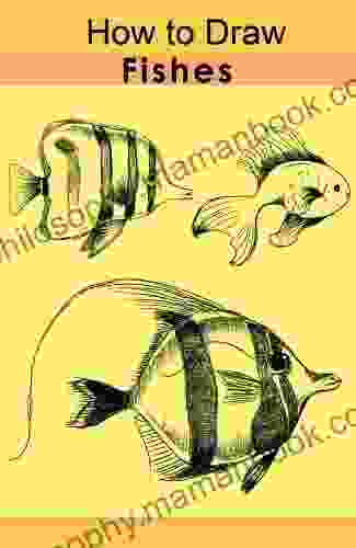 How To Draw Fishes Ameil Ollis
