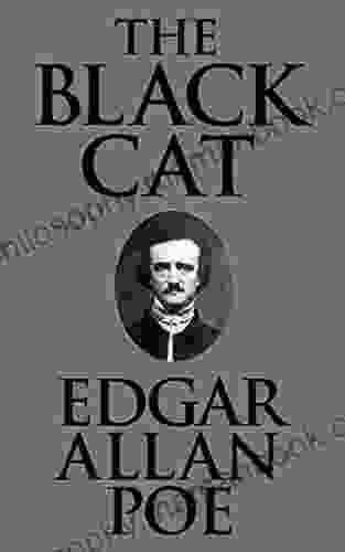 The Black Cat Illustrated Edition